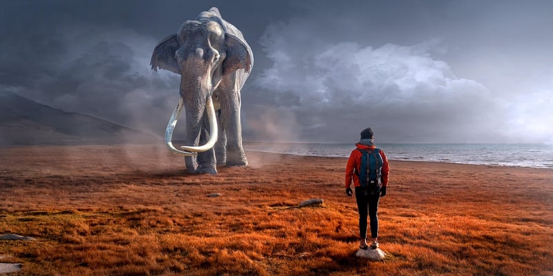 Enigmatic Encounters